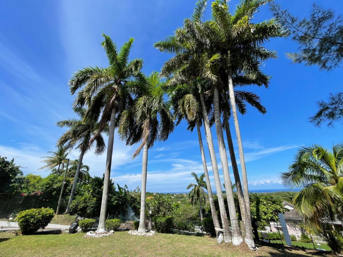 The Lodge @ Peaceful Palms Montego Bay Esterno foto