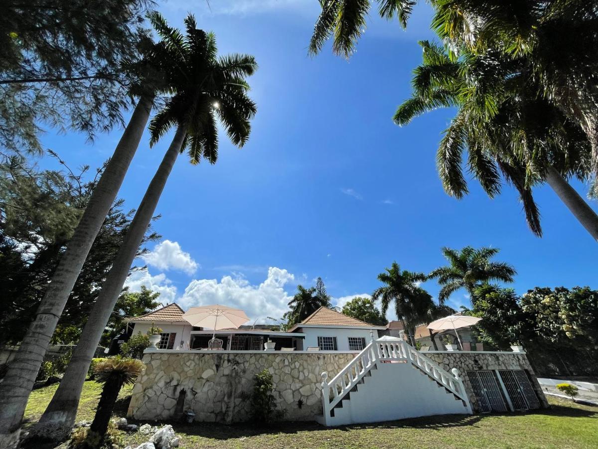 The Lodge @ Peaceful Palms Montego Bay Esterno foto