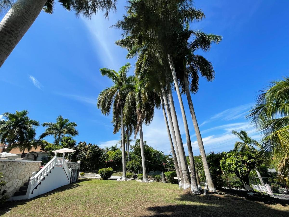 The Lodge @ Peaceful Palms Montego Bay Esterno foto