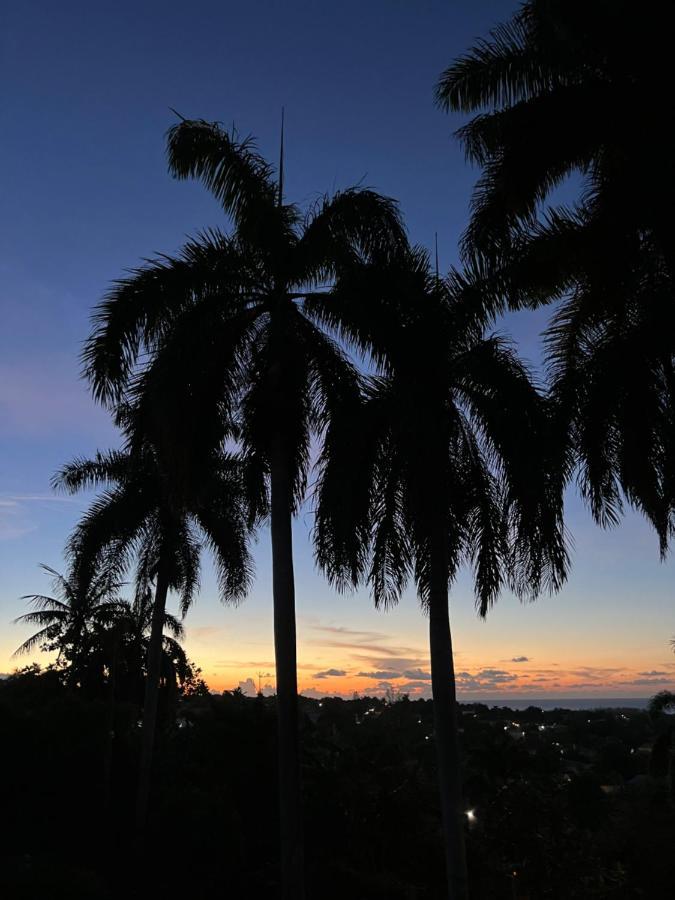 The Lodge @ Peaceful Palms Montego Bay Esterno foto