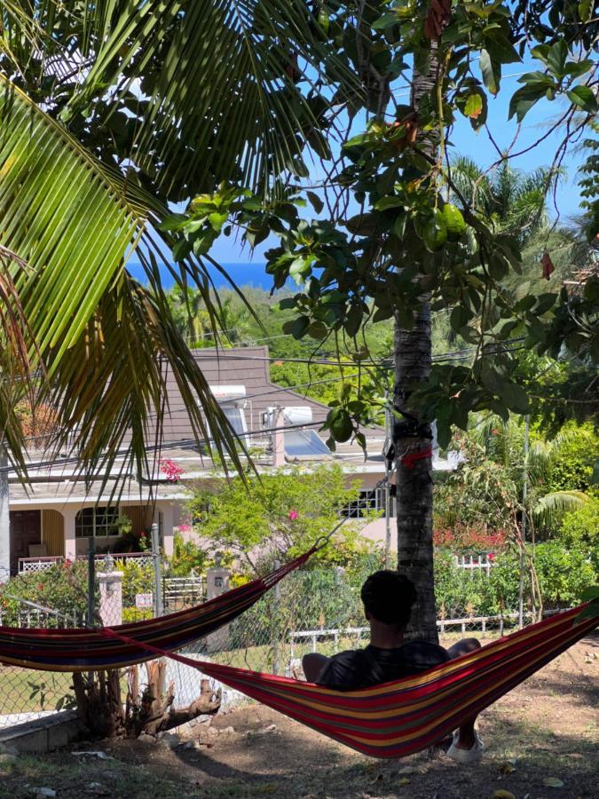 The Lodge @ Peaceful Palms Montego Bay Esterno foto