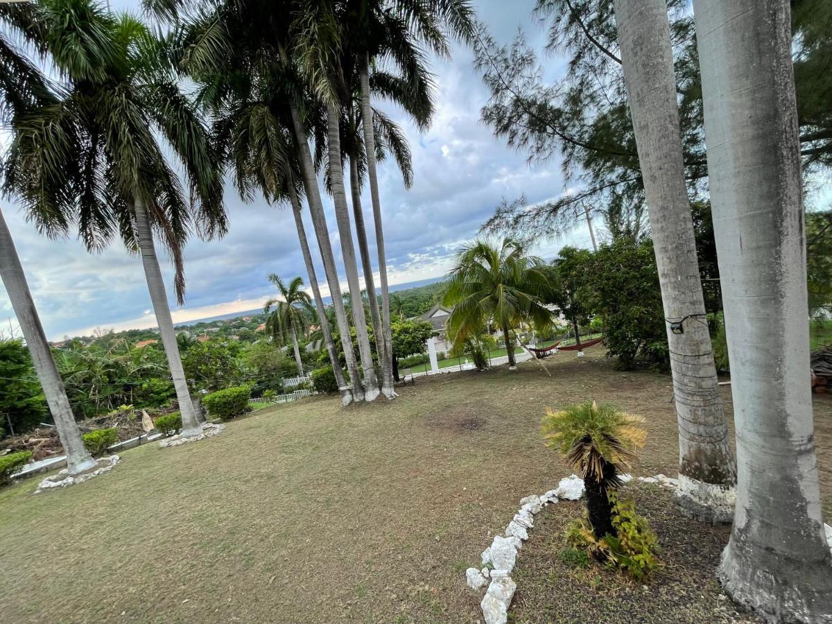 The Lodge @ Peaceful Palms Montego Bay Esterno foto