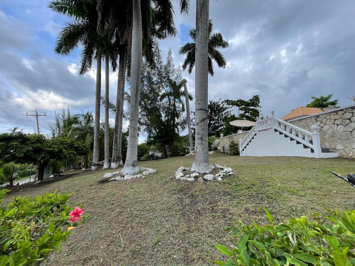The Lodge @ Peaceful Palms Montego Bay Esterno foto